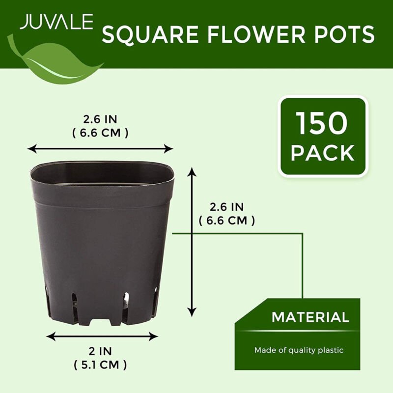 150 Pack Plastic Square Plant Pots for Seedlings, 2.6 Inches, Black - Plugsus Home Furniture