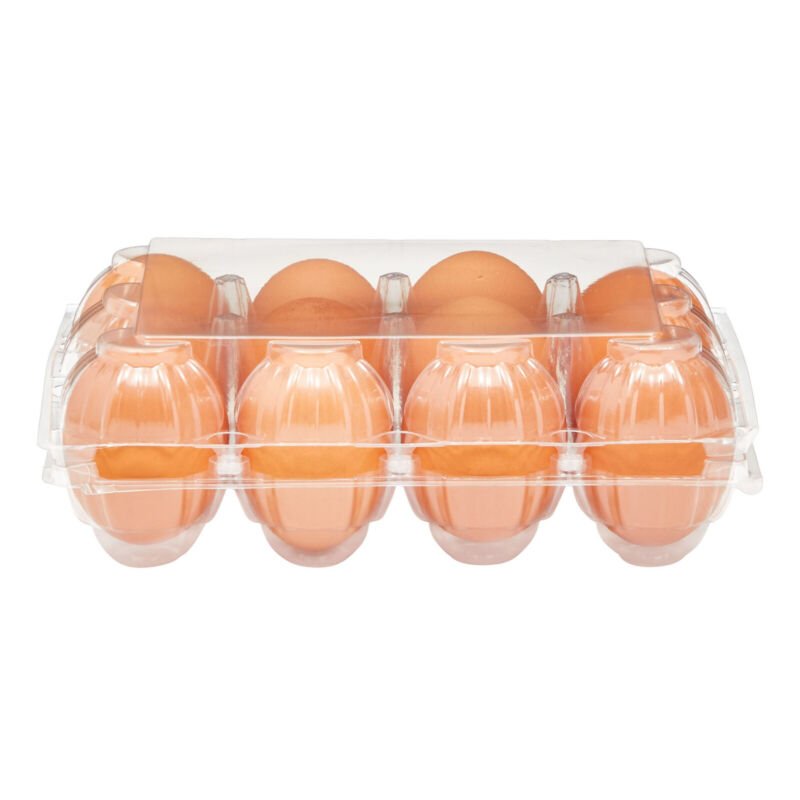 48x Egg Cartons for 1 Dozen Chicken Eggs, Clear Reusable Containers with Labels - Plugsus Home Furniture