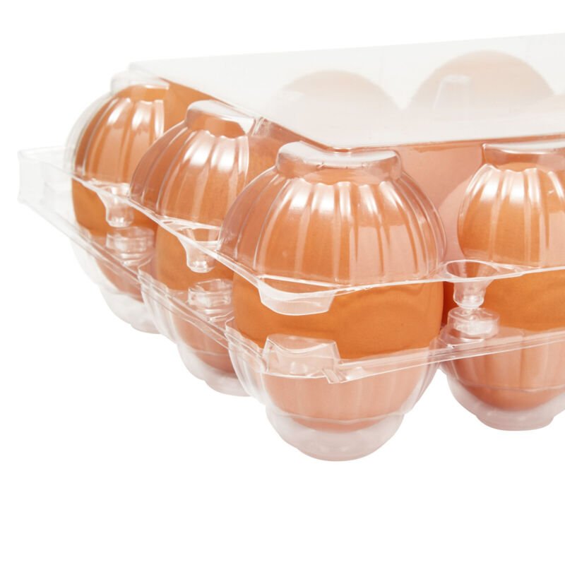 48x Egg Cartons for 1 Dozen Chicken Eggs, Clear Reusable Containers with Labels - Plugsus Home Furniture