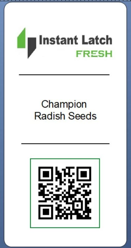 Champion Radish Seeds | NON-GMO | Heirloom | Fresh Garden Seeds - Plugsus Home Furniture