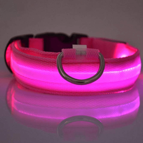 LED Light up Dog Collar Pet Night Safety Bright Flashing Adjustable Nylon Leash - Plugsus Home Furniture