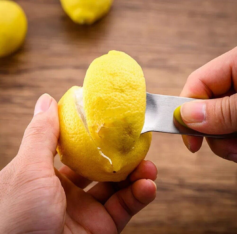 Lemon Zester Grater with Handle, Kitchen Tool for Zesting Citrus