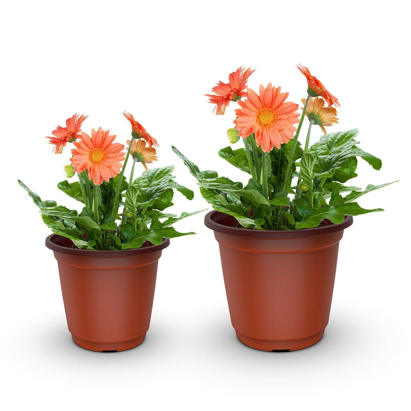 Max 500 PCS Plastic Plant Flower Pot Nursery Seedlings Pot Container 3.5''/4.0'' - Plugsus Home Furniture