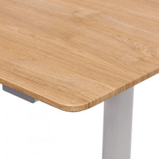 Modern Electric Standing Desk Frame - Plugsus Home Furniture