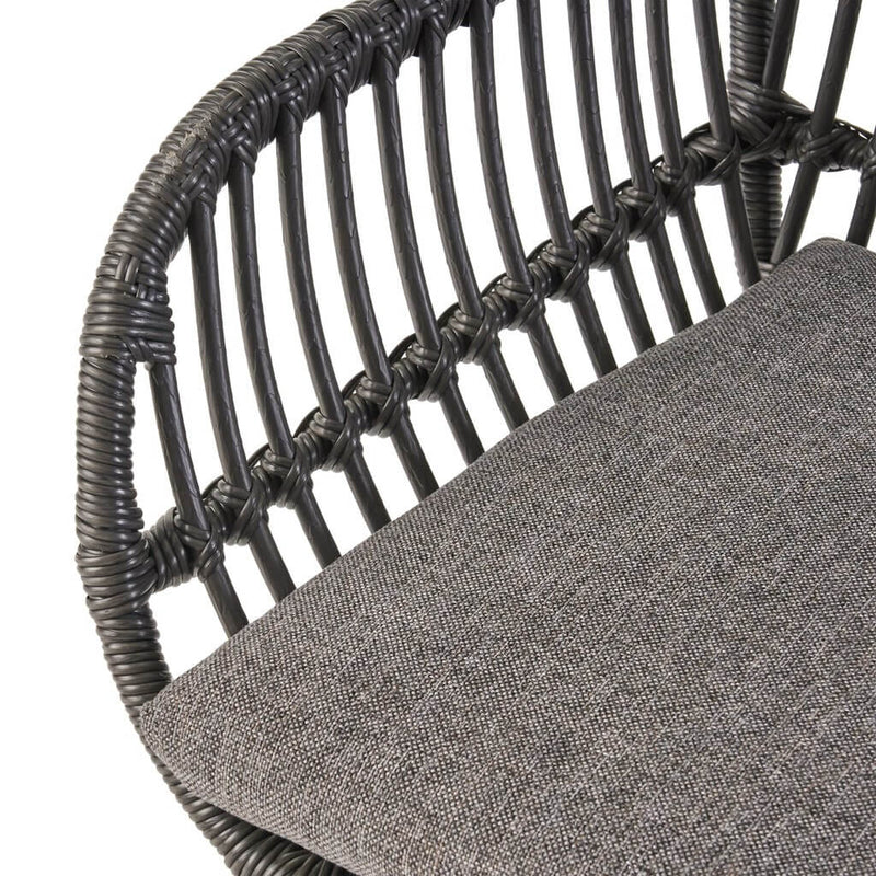 Rattan Chairs Indoor Woven Faux with Cushions (Set Of 2) - Plugsus Home Furniture