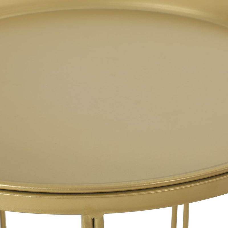 Tamarisk Modern Glam End Table, Champagne Gold - Plugsus Home Furniture